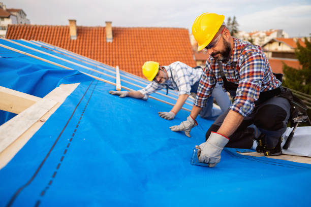 Best Roof Maintenance Services  in Brock Hall, MD